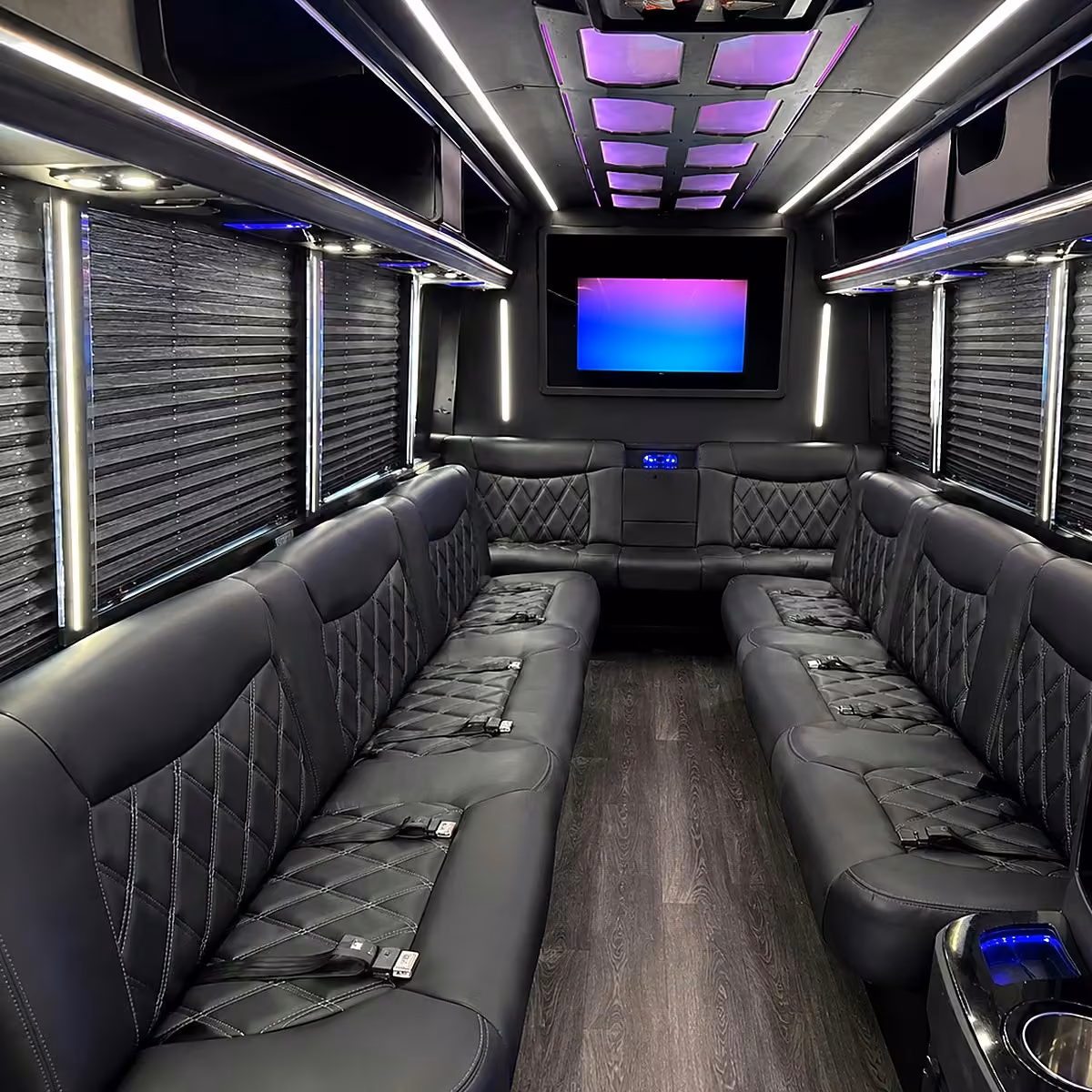 30 passenger party bus interior